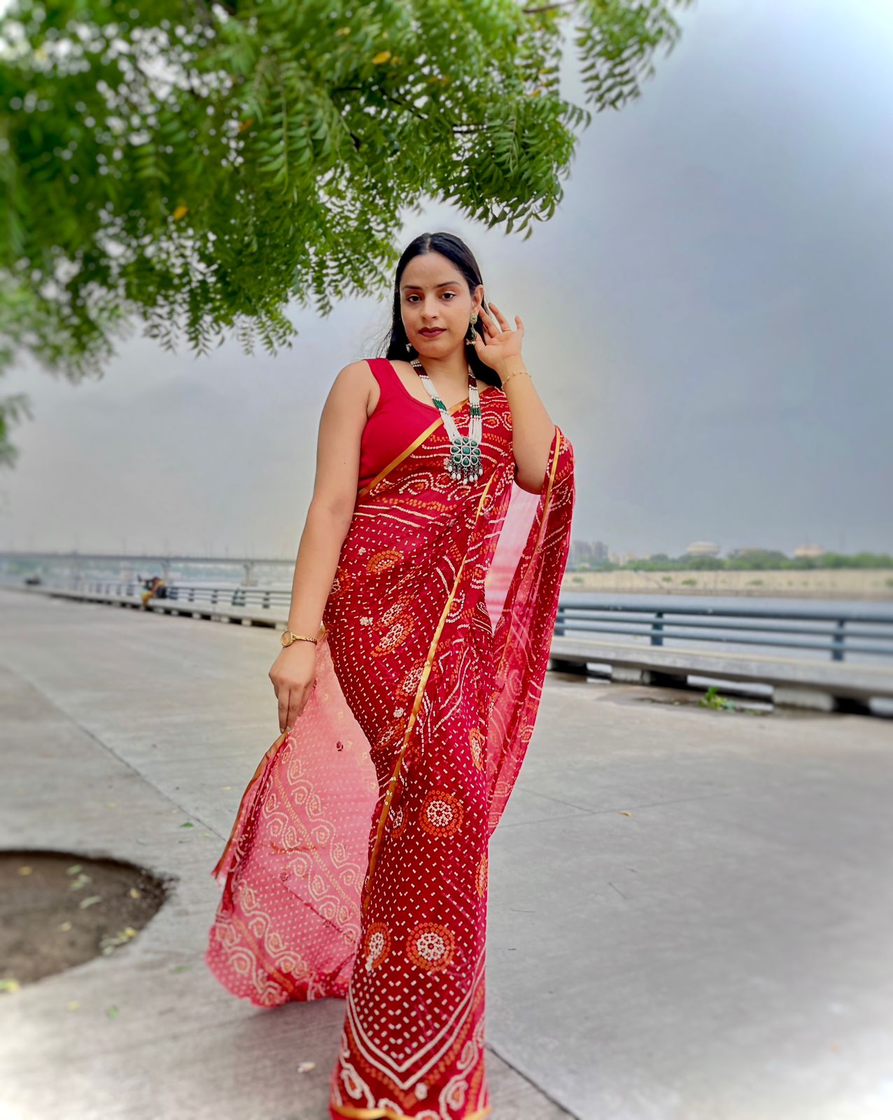 Traditional Chiffon Saree With Handwork