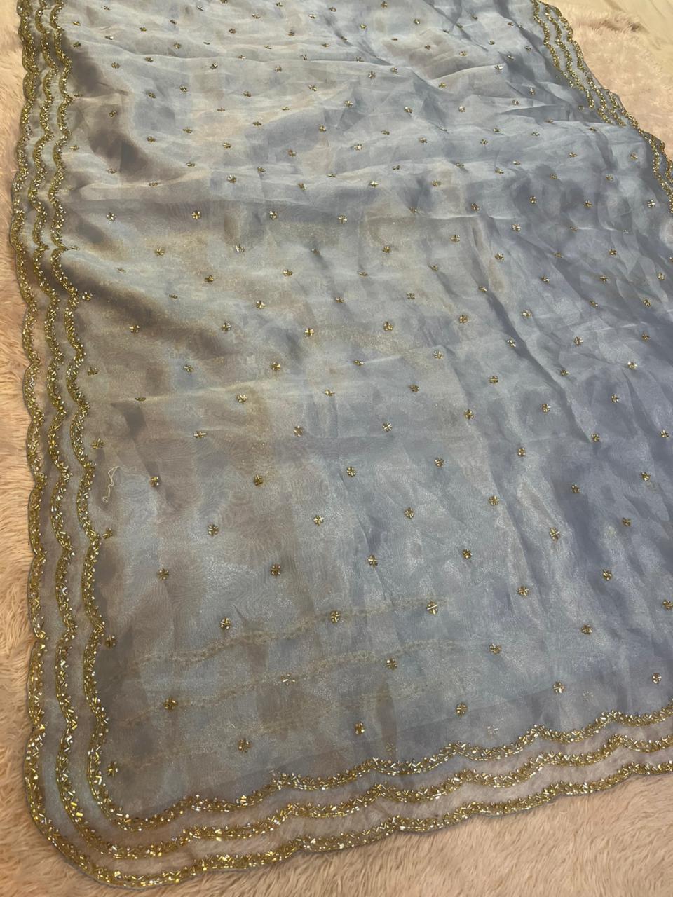 Beautiful Tissue Saree With Handwork