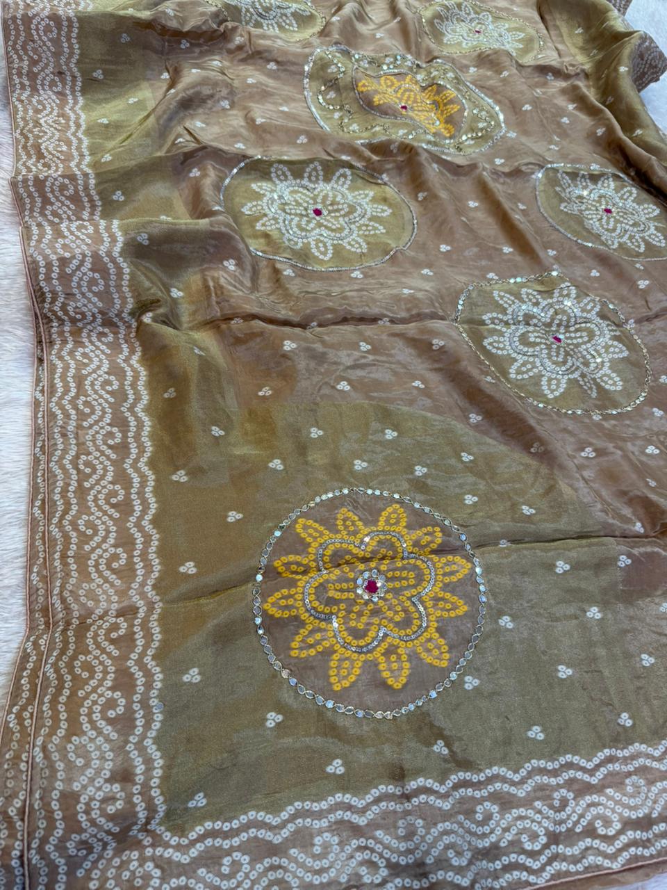 Beautiful H O Silk X Tissue Febric  Saree With Handwork