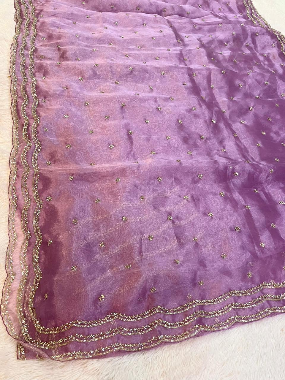 Beautiful Tissue Saree With Handwork