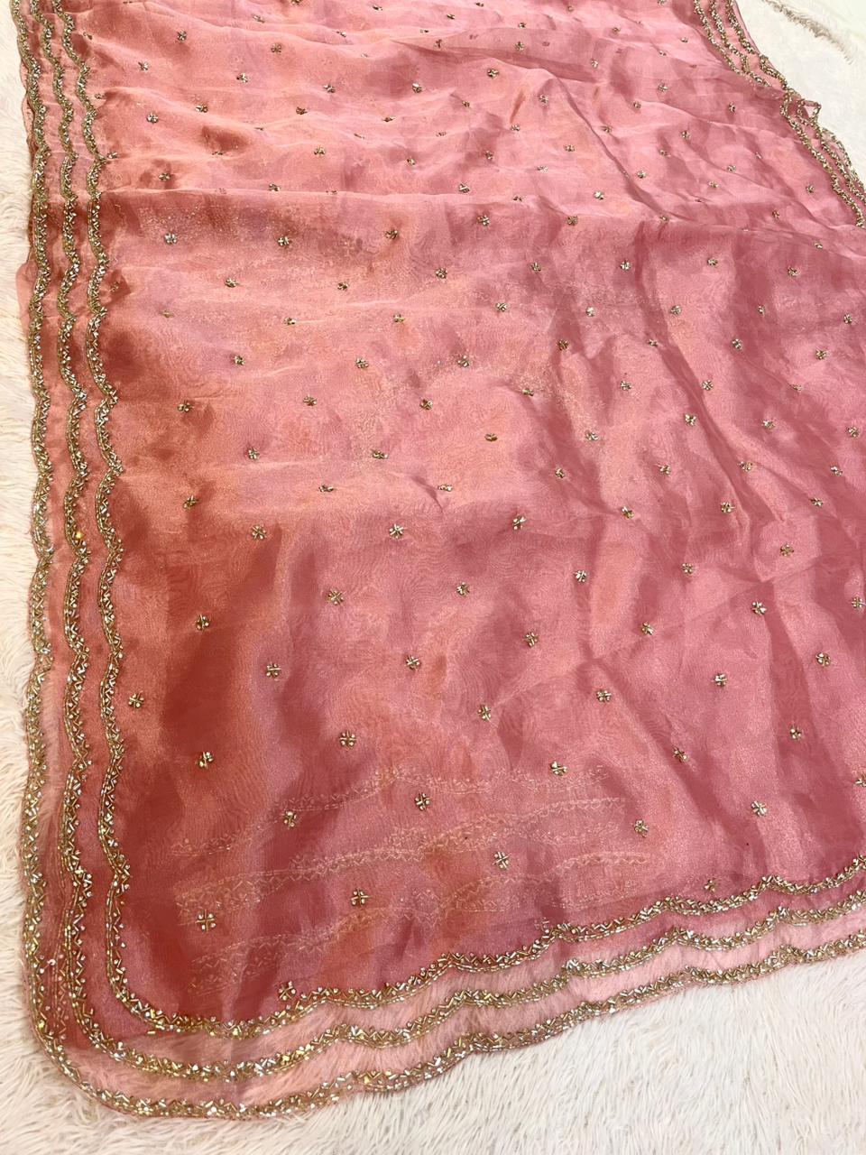 Beautiful Tissue Saree With Handwork