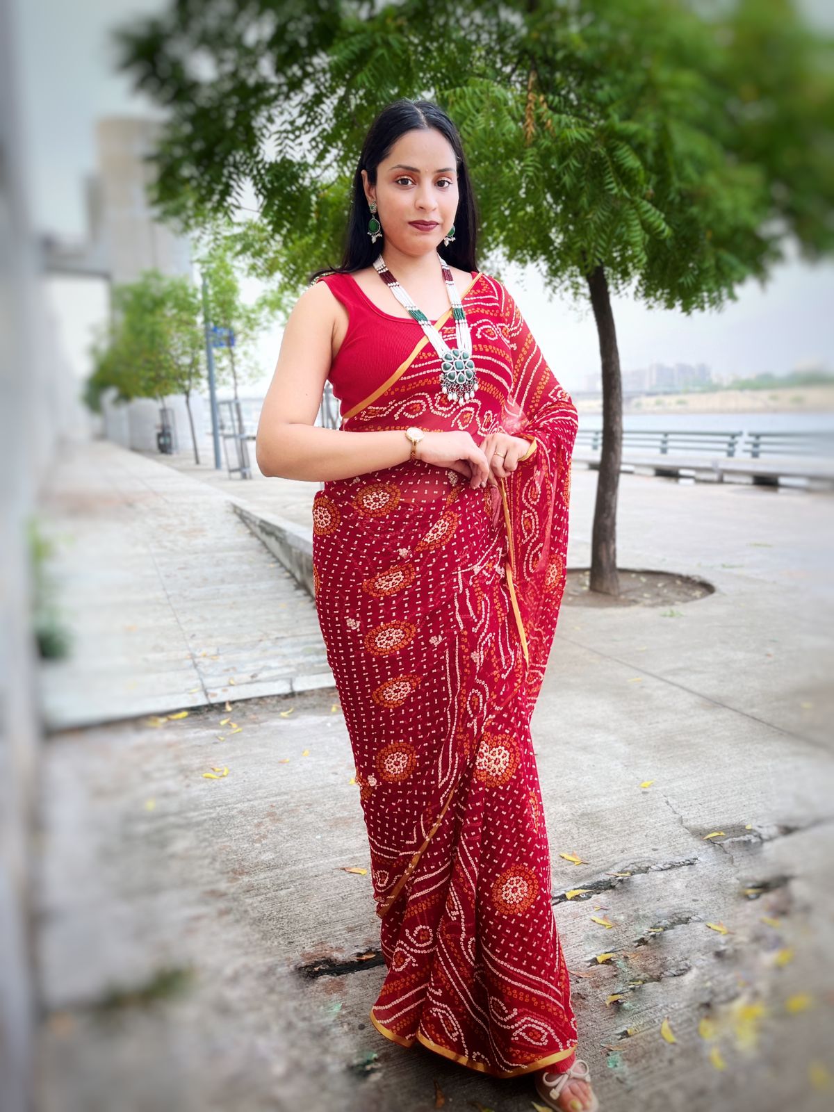 Traditional Chiffon Saree With Handwork