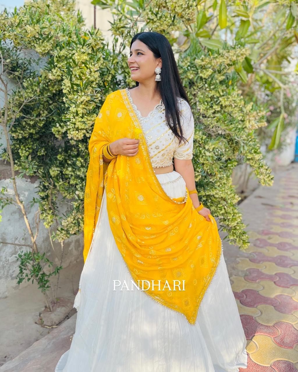 Stylish Crop Top Dress With Premium Work