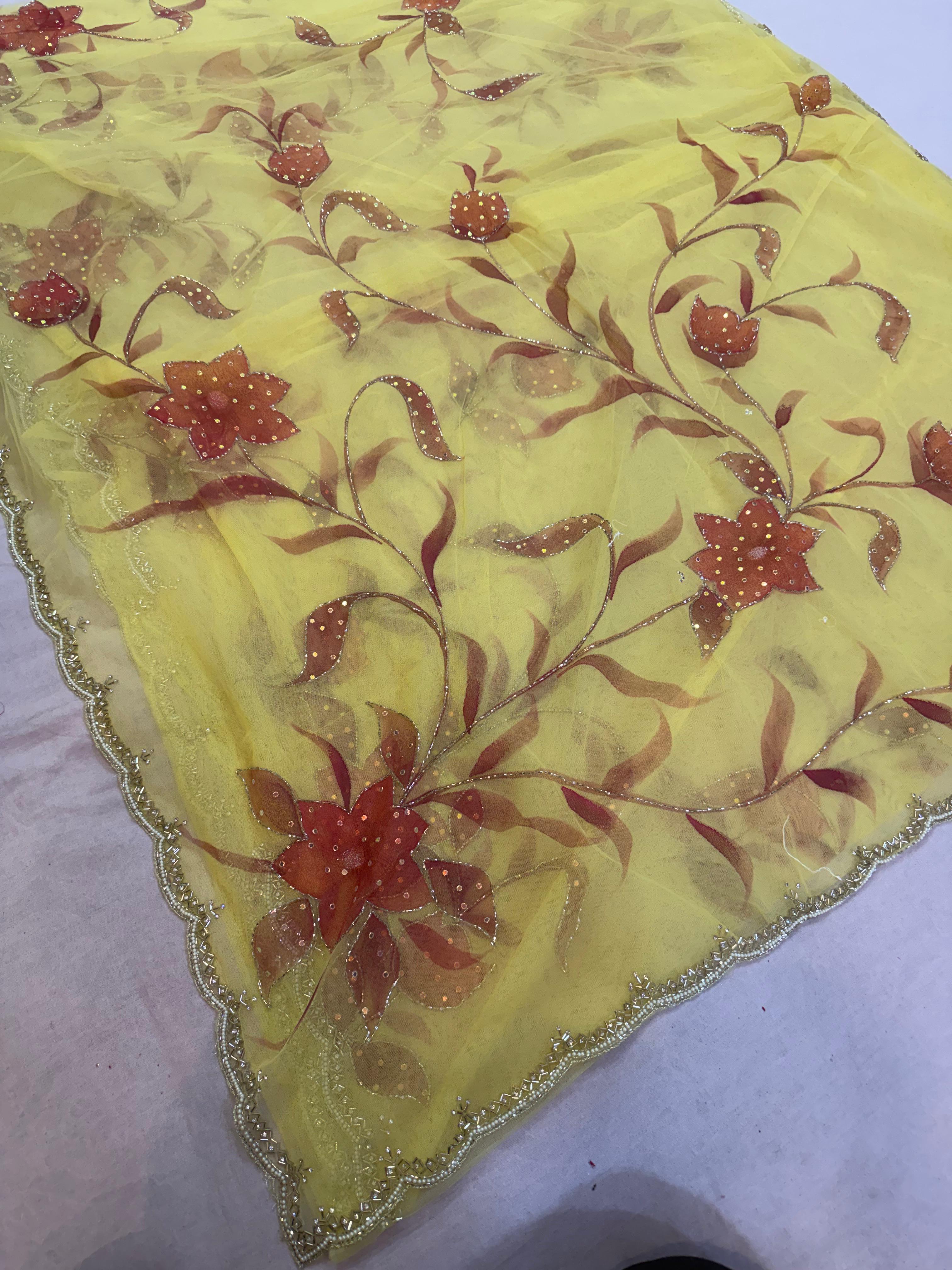 Beautiful Fancy Net Fabric Saree