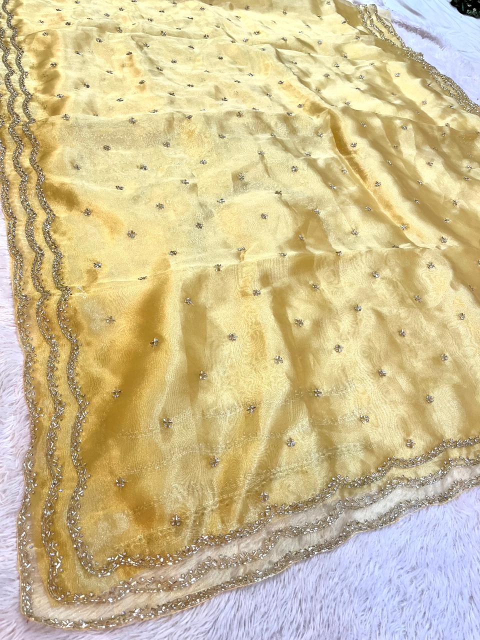 Beautiful Tissue Saree With Handwork
