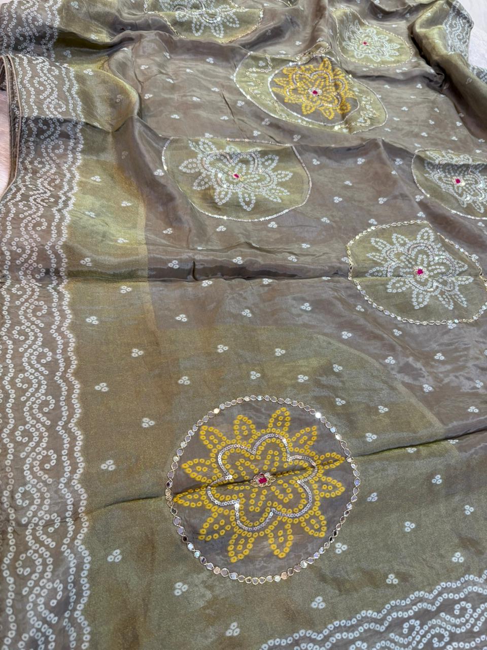 Beautiful H O Silk X Tissue Febric  Saree With Handwork
