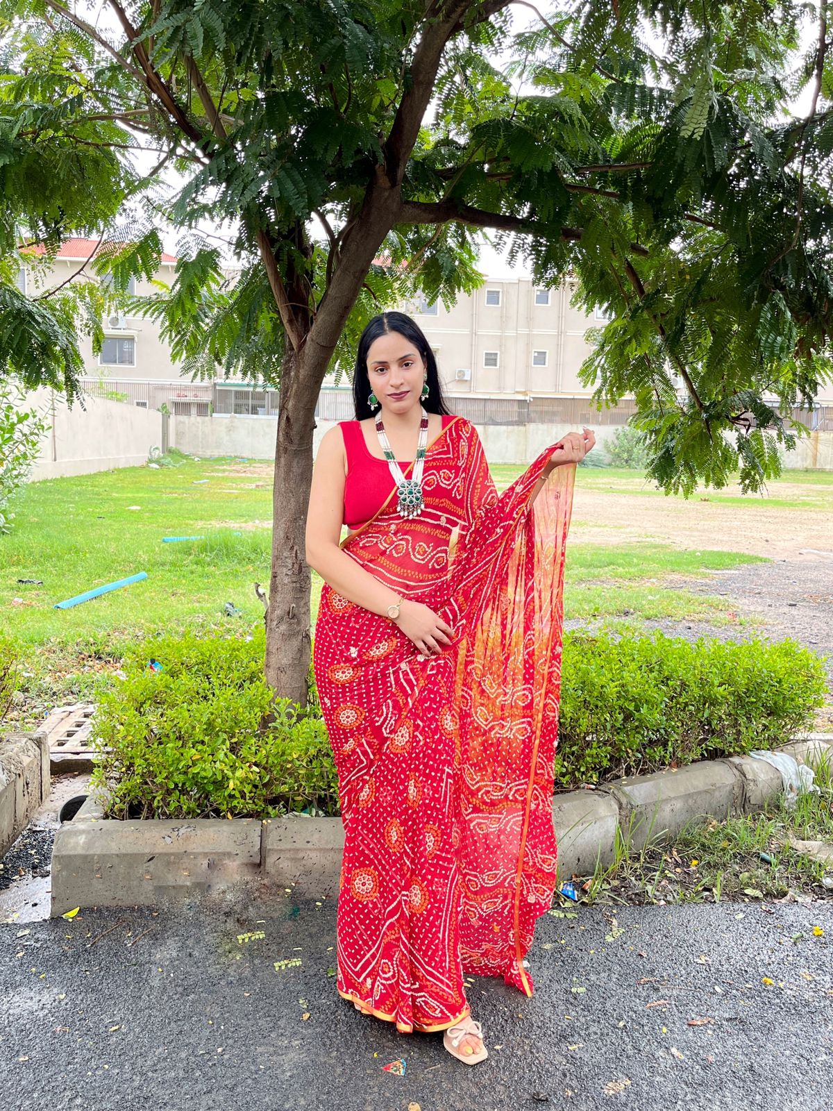 Traditional Chiffon Saree With Handwork