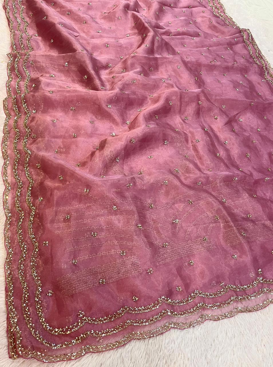Beautiful Tissue Saree With Handwork