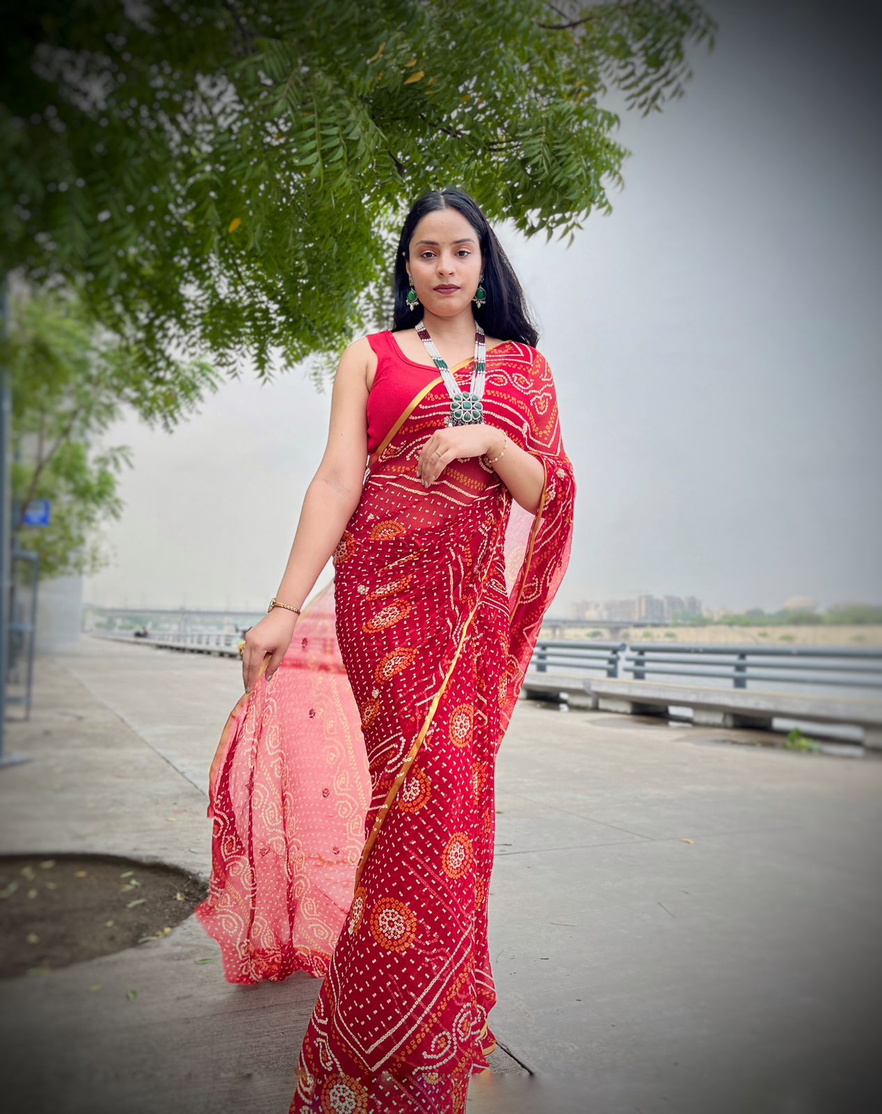 Traditional Chiffon Saree With Handwork