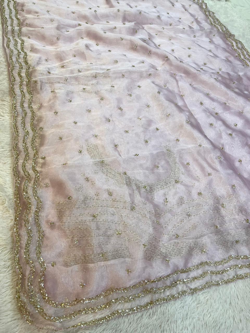 Beautiful Tissue Saree With Handwork