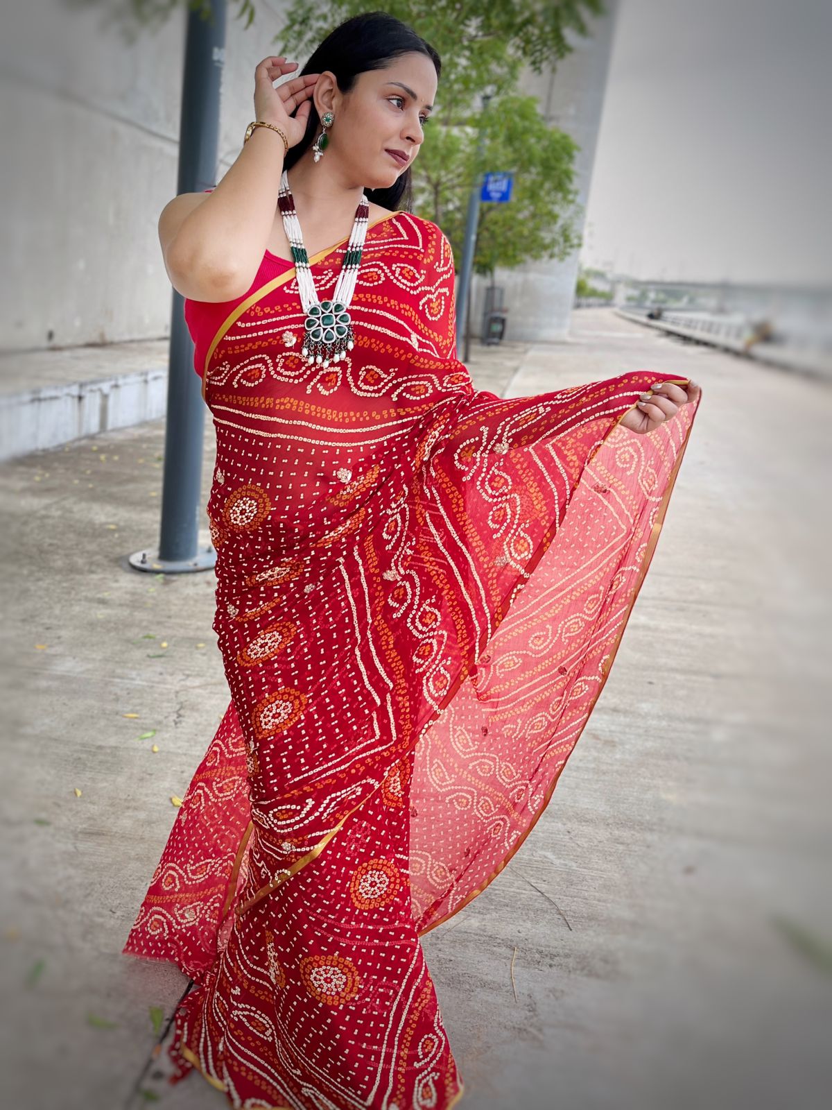 Traditional Chiffon Saree With Handwork